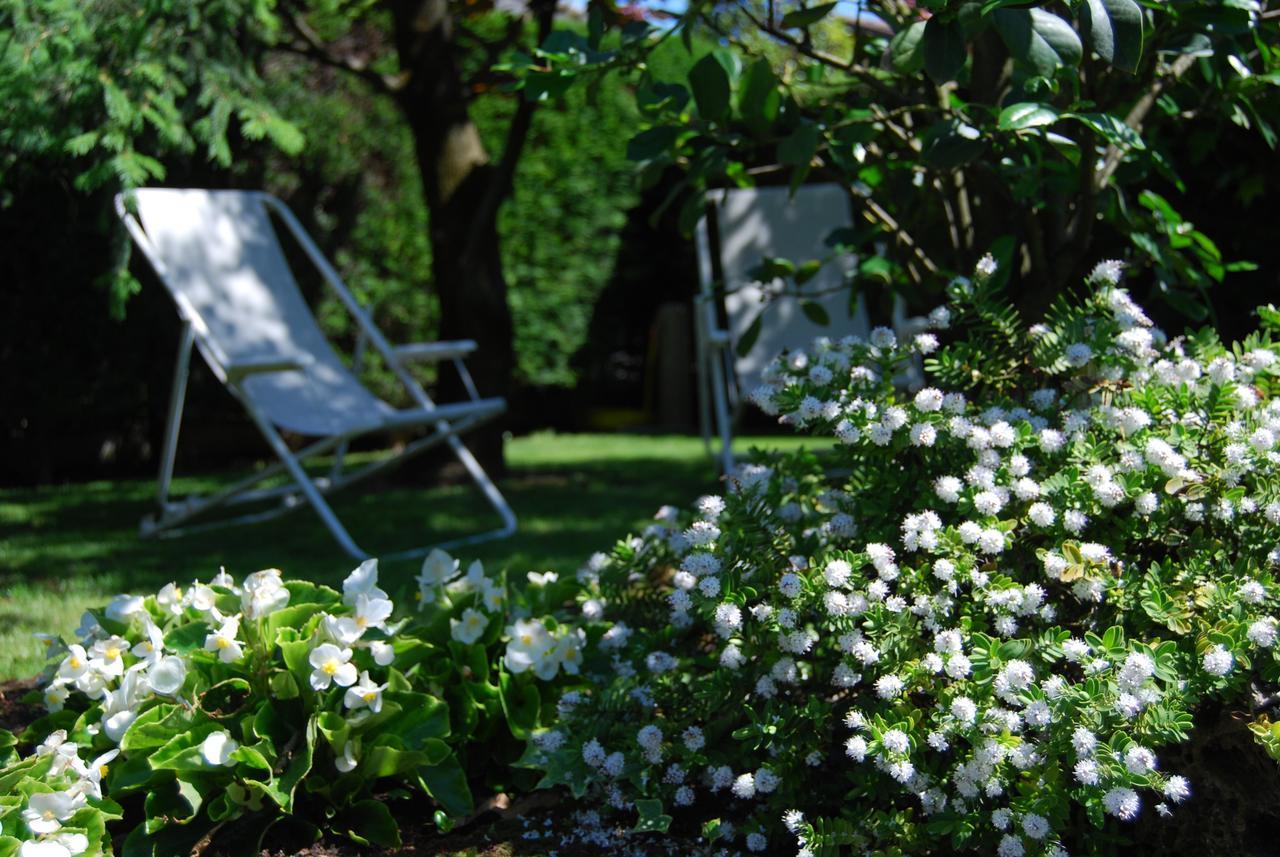 B&B Il Viandante เวโรนา ภายนอก รูปภาพ